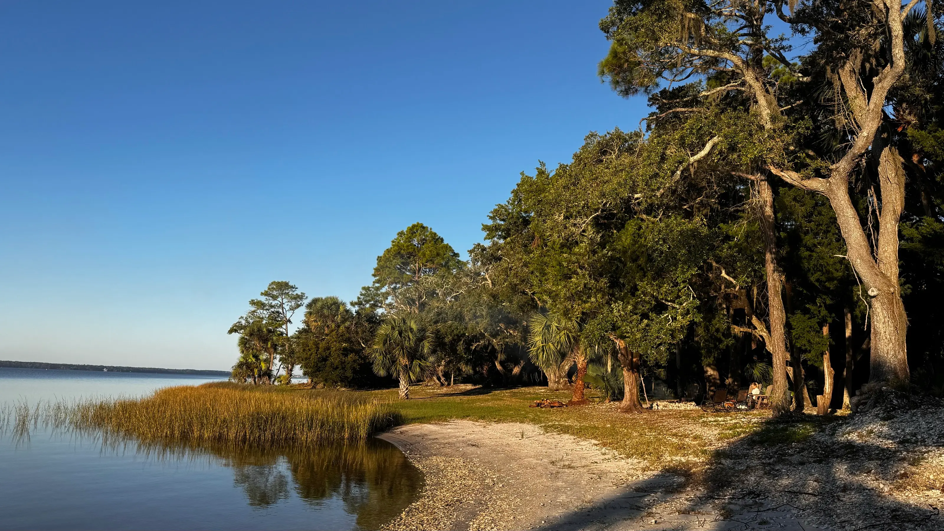 The shell beach where the lawn meets St. Vincent Sound.