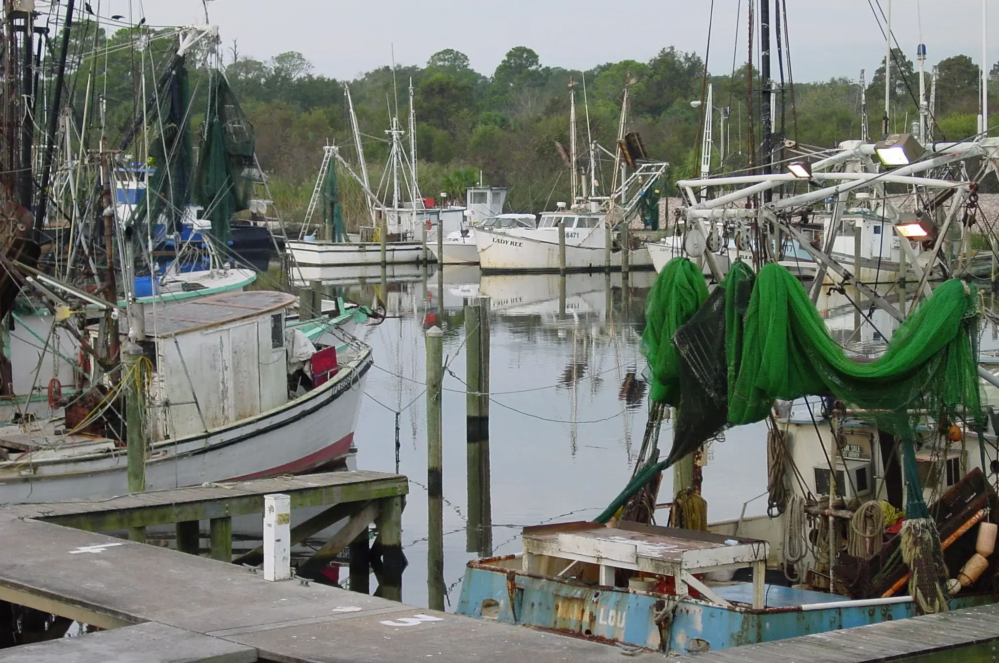 Shrimp boats at the Apalachicola docks with green nets on the booms.